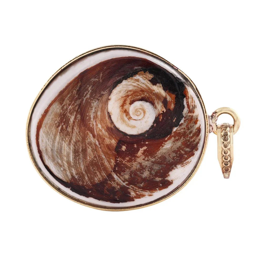 Big Size Natural Gomti Chakra Stone - GOOD HABITSS