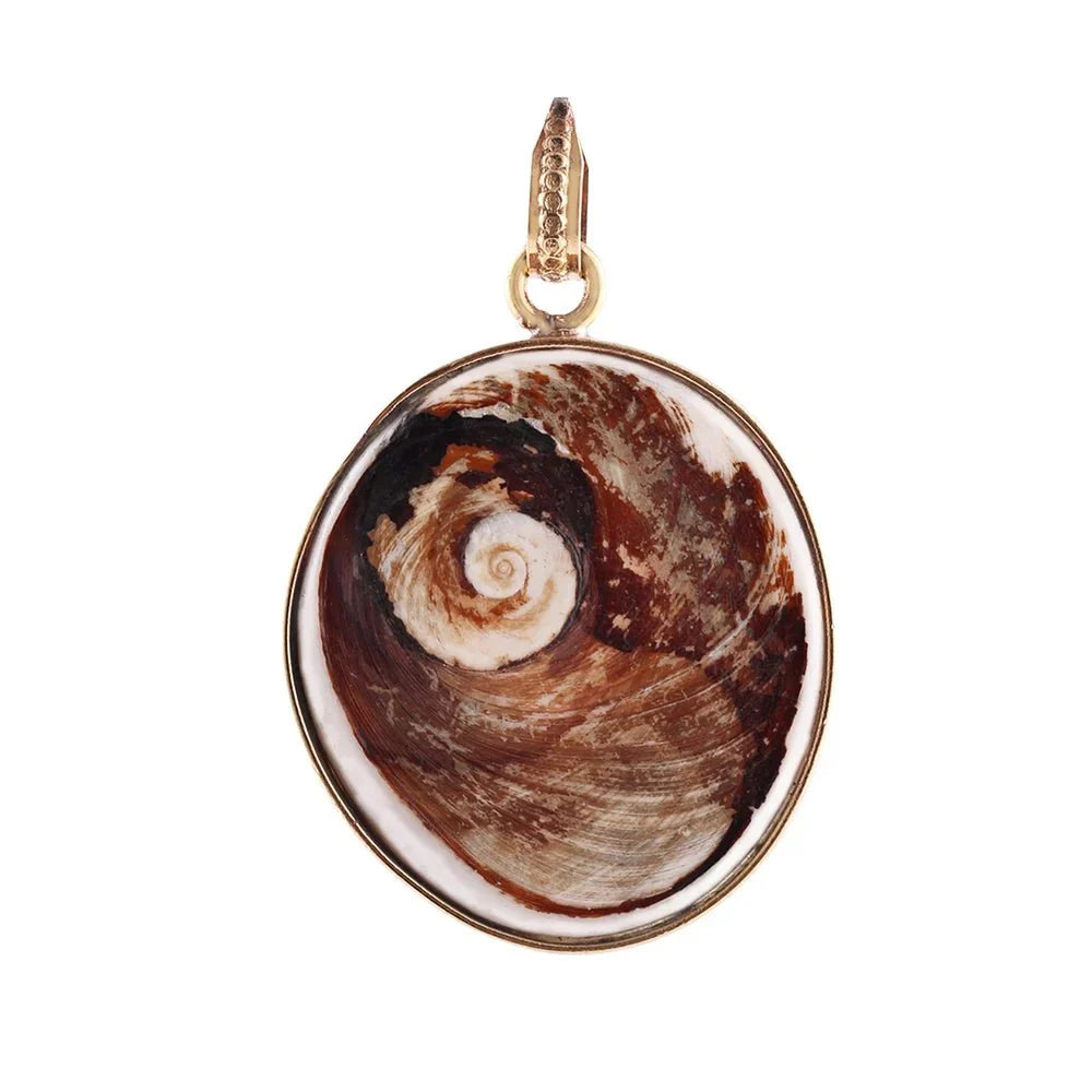 Big Size Natural Gomti Chakra Stone - GOOD HABITSS