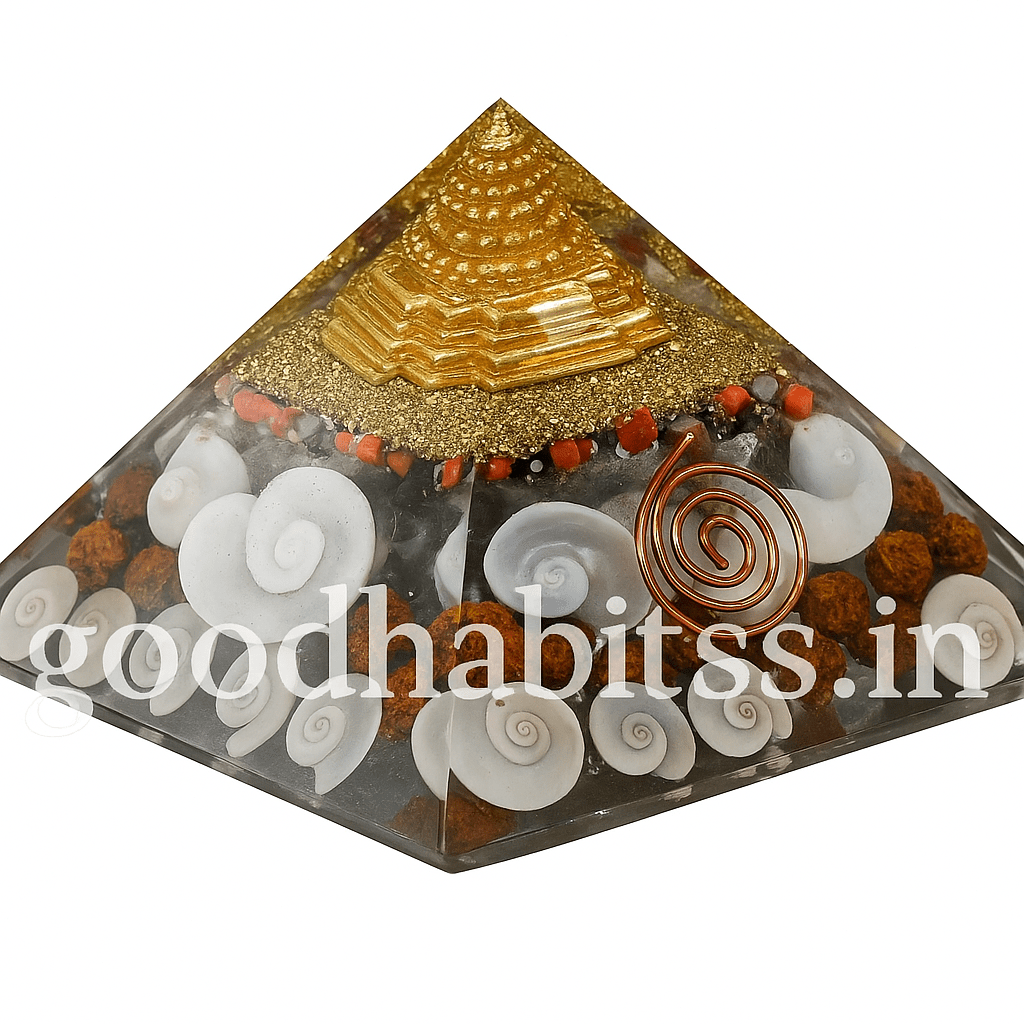 Laxmi Pyramid Original Gomati Chakra - GOOD HABITSS