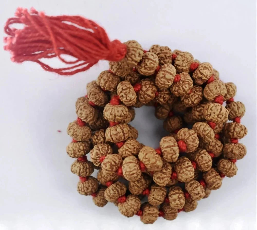 Natural rudraksha jaap mala 9 mukhi - GOOD HABITSS