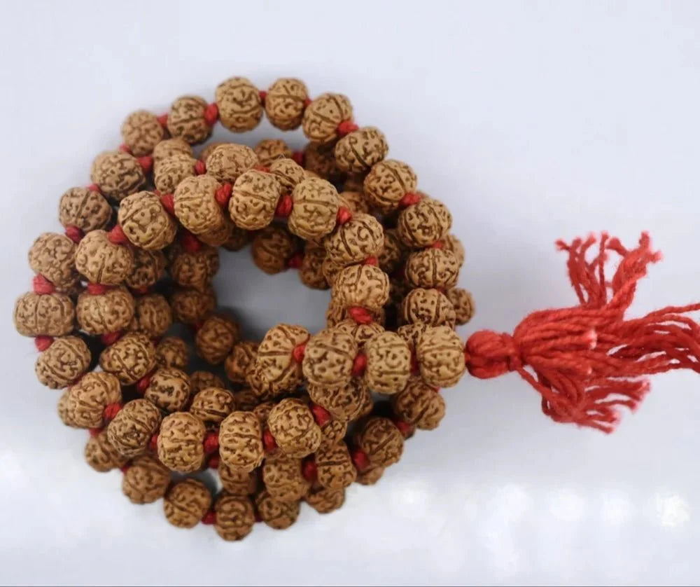 Natural rudraksha jaap mala 9 mukhi - GOOD HABITSS