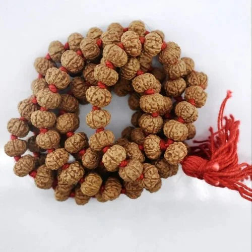 Natural rudraksha mala 109 bead 10 mukhi - GOOD HABITSS